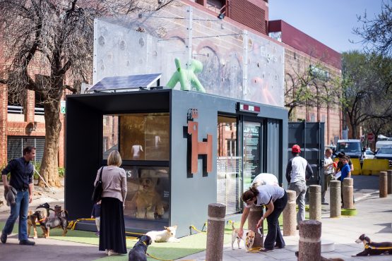 Shipping container office - shipping container converted